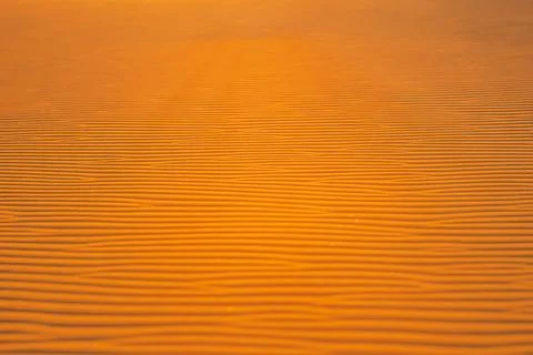 Wave of sand texture. Desert background Stock Photos