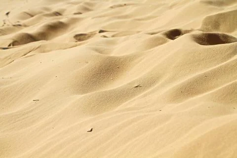 Wave of sand texture in desert. Dunes. 스톡 사진