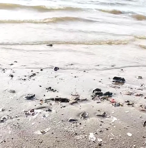A wave on the sandy shore Stock Footage 287915650