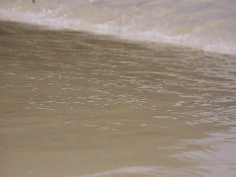 Wave from the sea on the beach Stock Footage 77331762