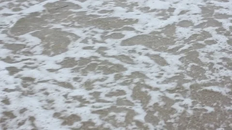 Wave of the sea on the beach. Stock-Footage 81506591