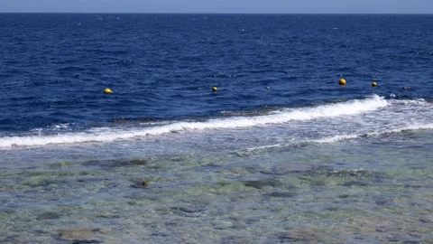 Wave sea beach macro, close up Stock Footage 167626378