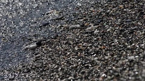 Wave of the sea breaks on the shoreline Video stock 83453035