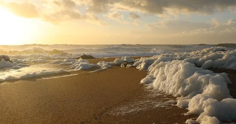 Wave of sea foam on the beach at sunset Stock Footage 87778086