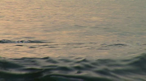 Wave in the sea Stock Footage 1496453