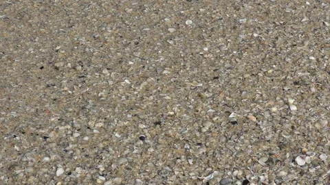 Wave of sea Stock Footage 76251572