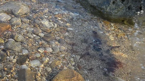 Wave of the sea Stock Footage 120567357