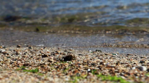 Wave of the sea on the sandy beach Stock Footage 39645672