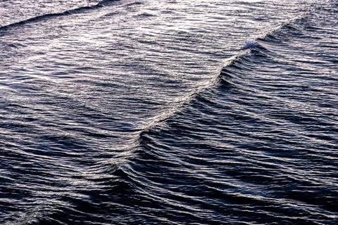 Wave on sea surface from boat. Dynamic water texture in evening light. Stock Photos