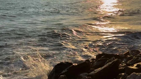 Wave sea wind stone beach video Stock Footage 298256050