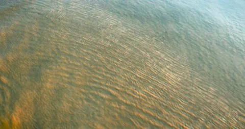 Wave in shallow beach water Vídeos de archivo 138519821