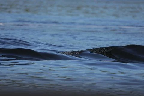 Wave shape Stock-Fotos