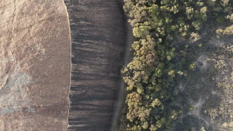 Wave shaped rock in Australia Stock Footage 245195923