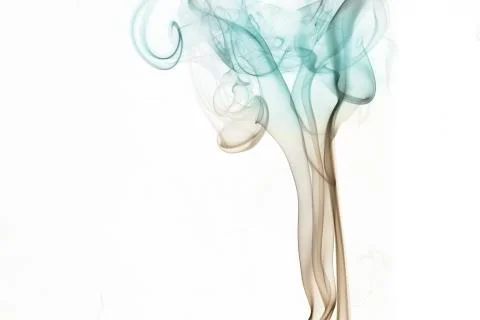 Wave of smoke on a white background Stock Photos