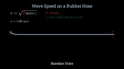 Wave speed on a rubber hose Stock Footage 335764605
