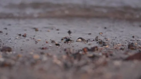 Wave splash sea beach macro, close up Vidéo 157283594