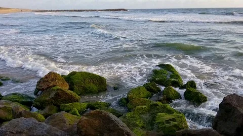 Wave splashing to the mossy rocks Stock Footage 100569027