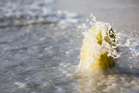 A wave splashing over a fresh green coconut on the beach at Beau Vallon in Ma Stock Photos