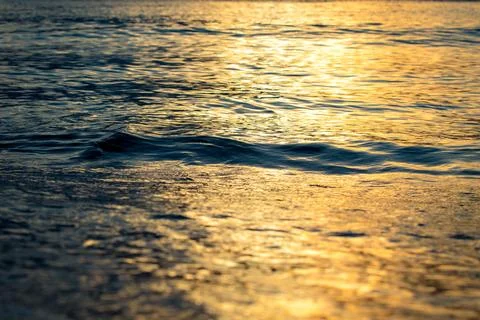 Wave at Sunset Stock Photos