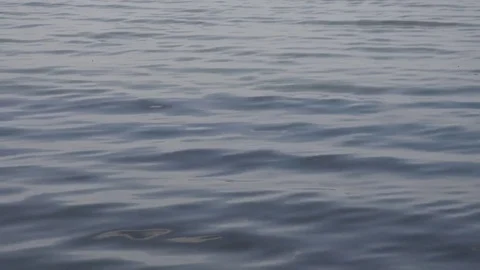 Wave surface .4K Stock Footage 76711491