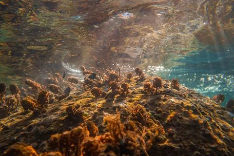 Wave at surface Stock Photos