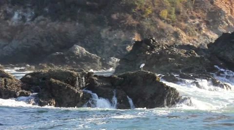 Wave swells over rocks3 1 Stock Footage 7753559