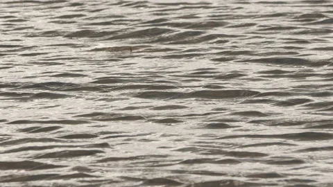 Wave textures natural Stock Footage 231235038