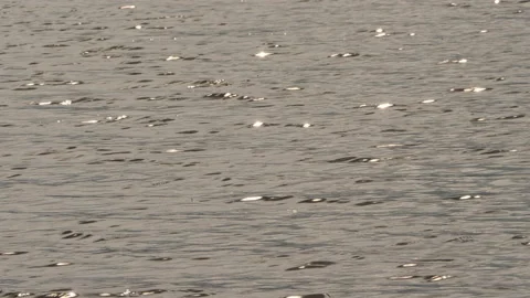 Wave textures natural Stock Footage 231237116