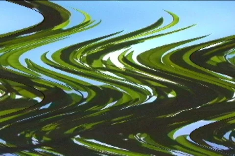 Wave trees 스톡 동영상 307705