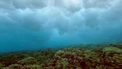 WAVE UW HI 1 Stock Footage 247608600