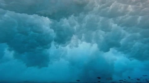 WAVE UW HI 2 Stock Footage 247608660