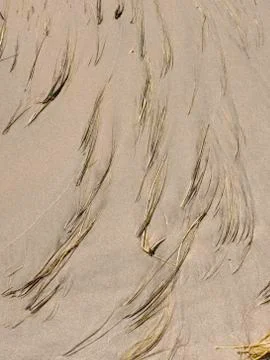 Wave Wash Patterns Stock Photos