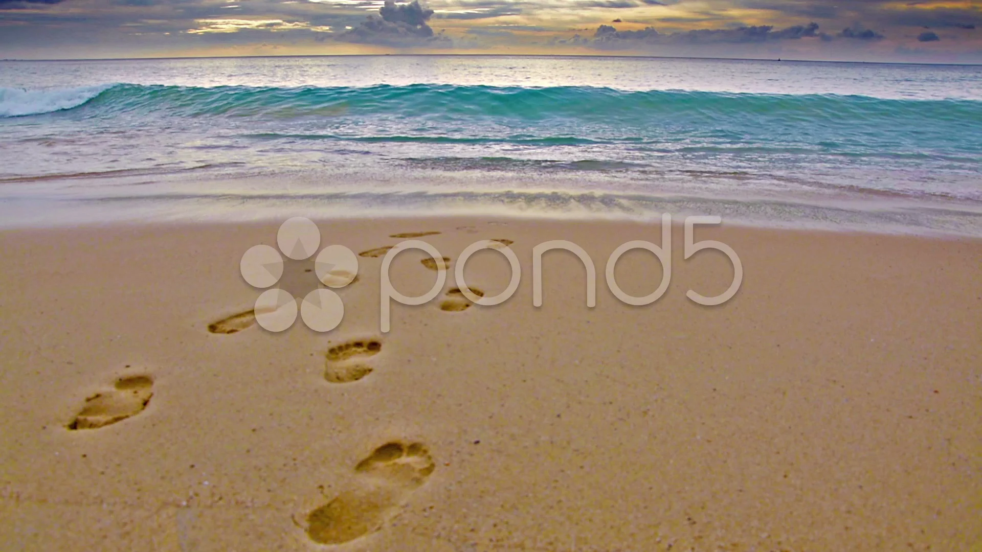 Salt Away - Ocean Footprint