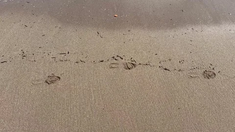 Wave of washes of feet on sand, view from above Stock Footage 280362651