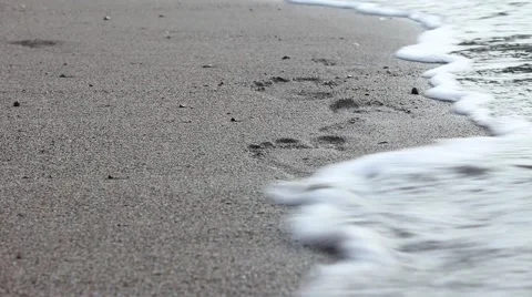 Wave washes footprints in the sand Video stock 61863644