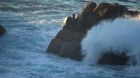 Wave Washes over Coastal Boulder Vídeo Stock 46020212