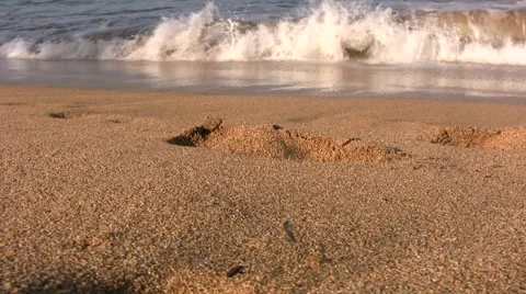 Wave washes over footprint Stock Footage 1083596