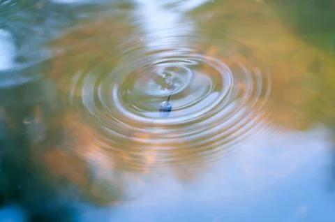 Wave water reflection from tadpole background Stock Photos