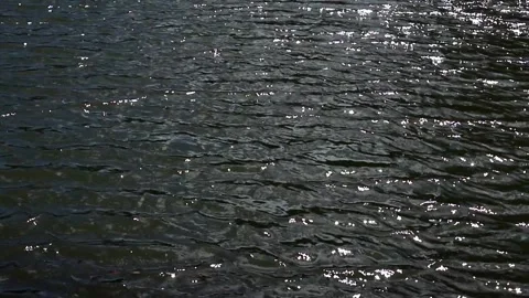Wave water surface rippled by wind in lake Video stock 270238288