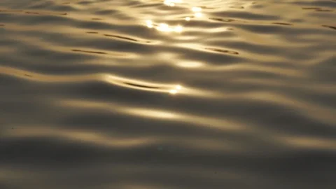 Wave water surface on the river Stock Footage 102858782