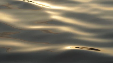 Wave water surface on the river Stock Footage 102858855