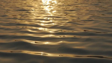 Wave water surface on the river Stock Footage 102859132