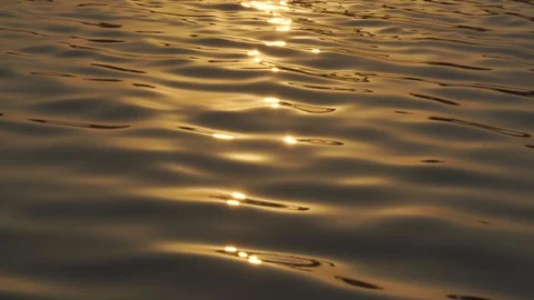 Wave water surface on the river Stock Footage 102859387