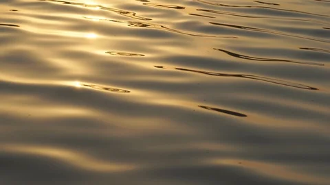 Wave water surface on the river Stock Footage 102859444