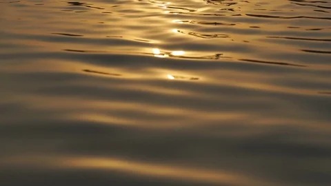 Wave water surface on the river Stock Footage 102860493