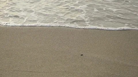 Wave wave motion of the sea on the beach Stock Footage 81180073