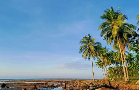 Wave waving 库存照片