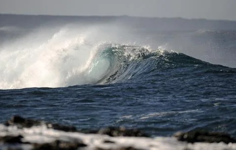 Wave well surf Stock Photos