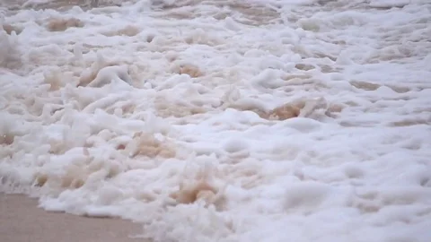 Wave with white foam is falling on sand shore in slow motion. Vidéo 72706664