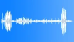 Waved Albatross MCU HonkingSound Effect